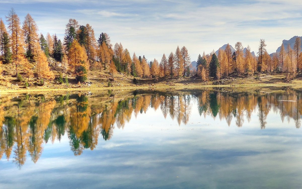 Reflection of trees in a mountain lake.